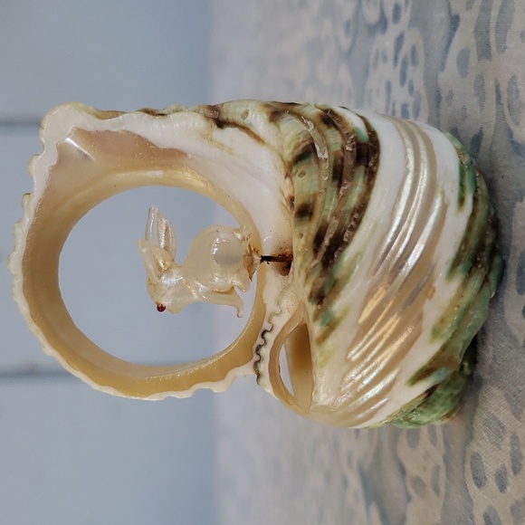 Carved Seashell with Rabbit - Picture 6 of 15